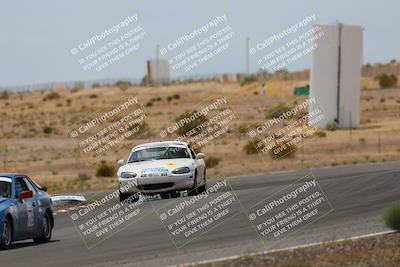 media/May-03-2025-Lucky Dog Racing (Sat) [[206de64b9d]]/Turn 6 (150pm-230pm)/